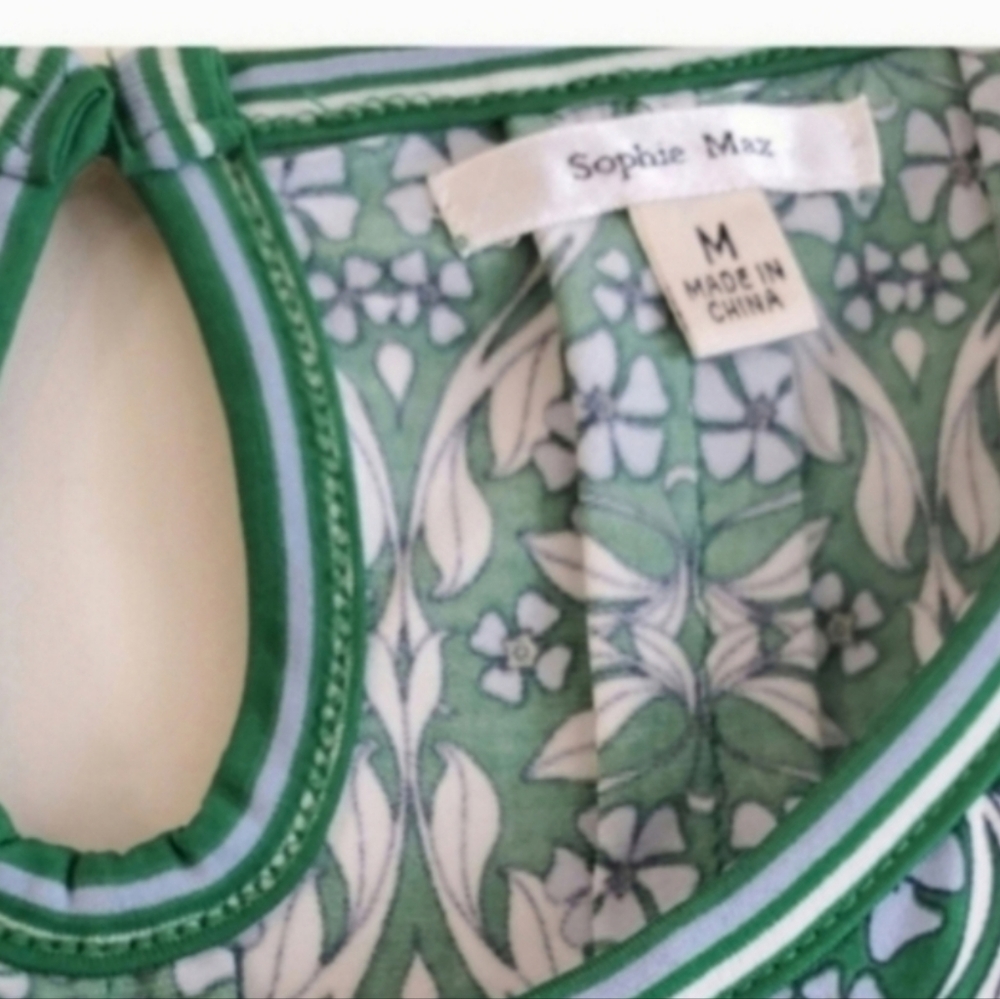 Sophie Max Kelly Green Floral Stripe Blue Fit Flare Sleeveless Swing Dress M - Picture 3 of 8